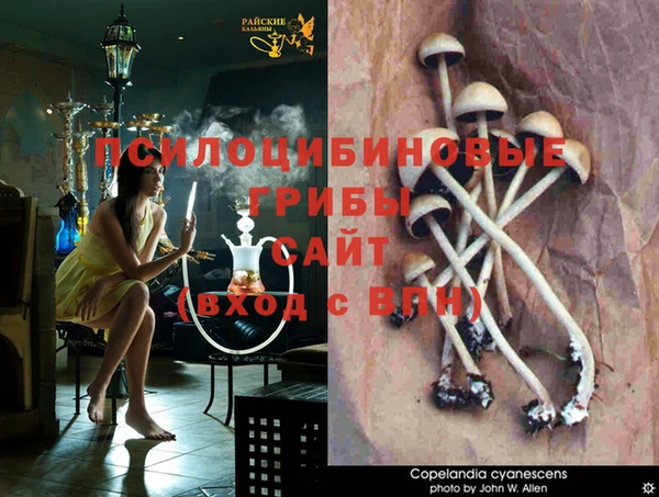 прущие крисы Баксан