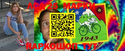 индика Абакан