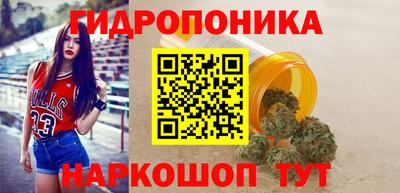 spice Абинск