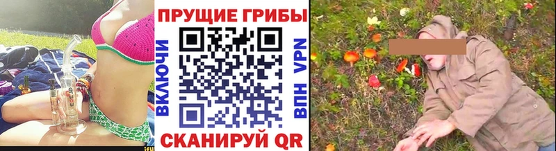 закладка  Реутов  Галлюциногенные грибы ЛСД 
