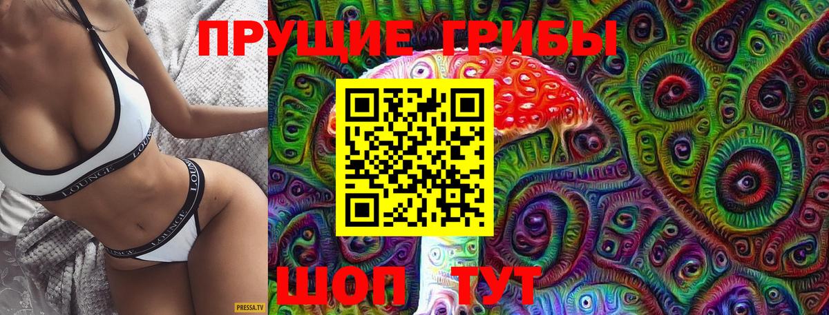 Псилоцибиновые грибы Cubensis  Вход с VPN  Реутов 