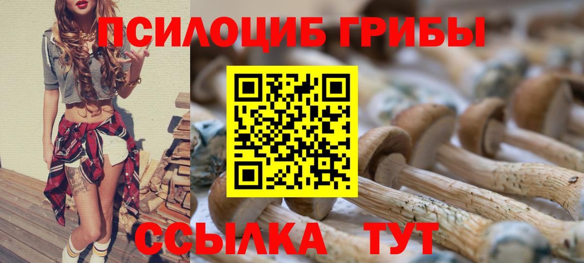 Псилоцибиновые грибы мухоморы  Вход с VPN  Реутов 