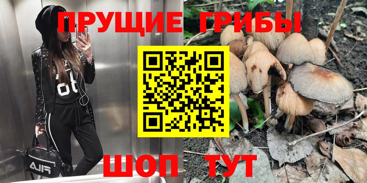 Галлюциногенные грибы Psilocybe Реутов