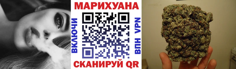Бошки Шишки планчик  Реутов 